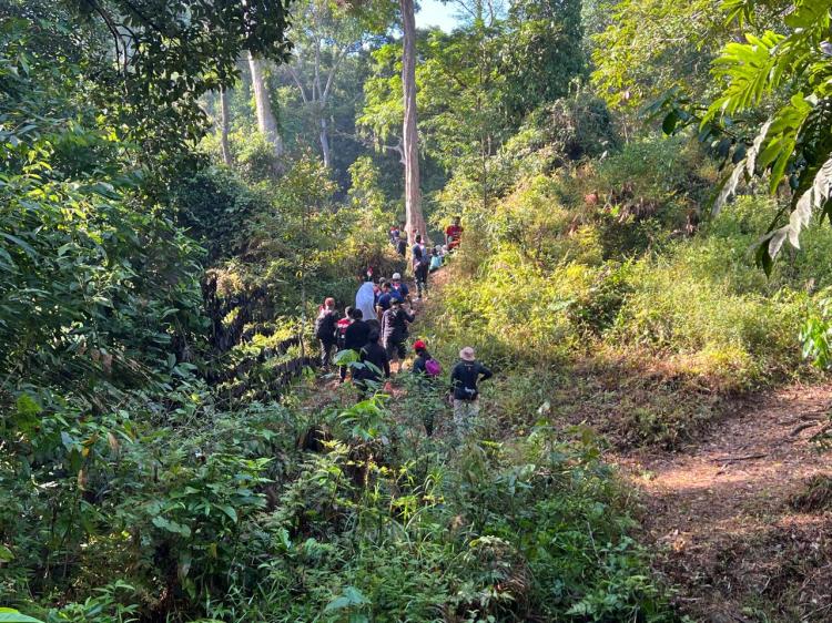 Durian Party dan Bintan Trekking 2024, Wisata Seru Menikmati Keindahan Alam dan Kelezatan Durian di Gunung Bintan